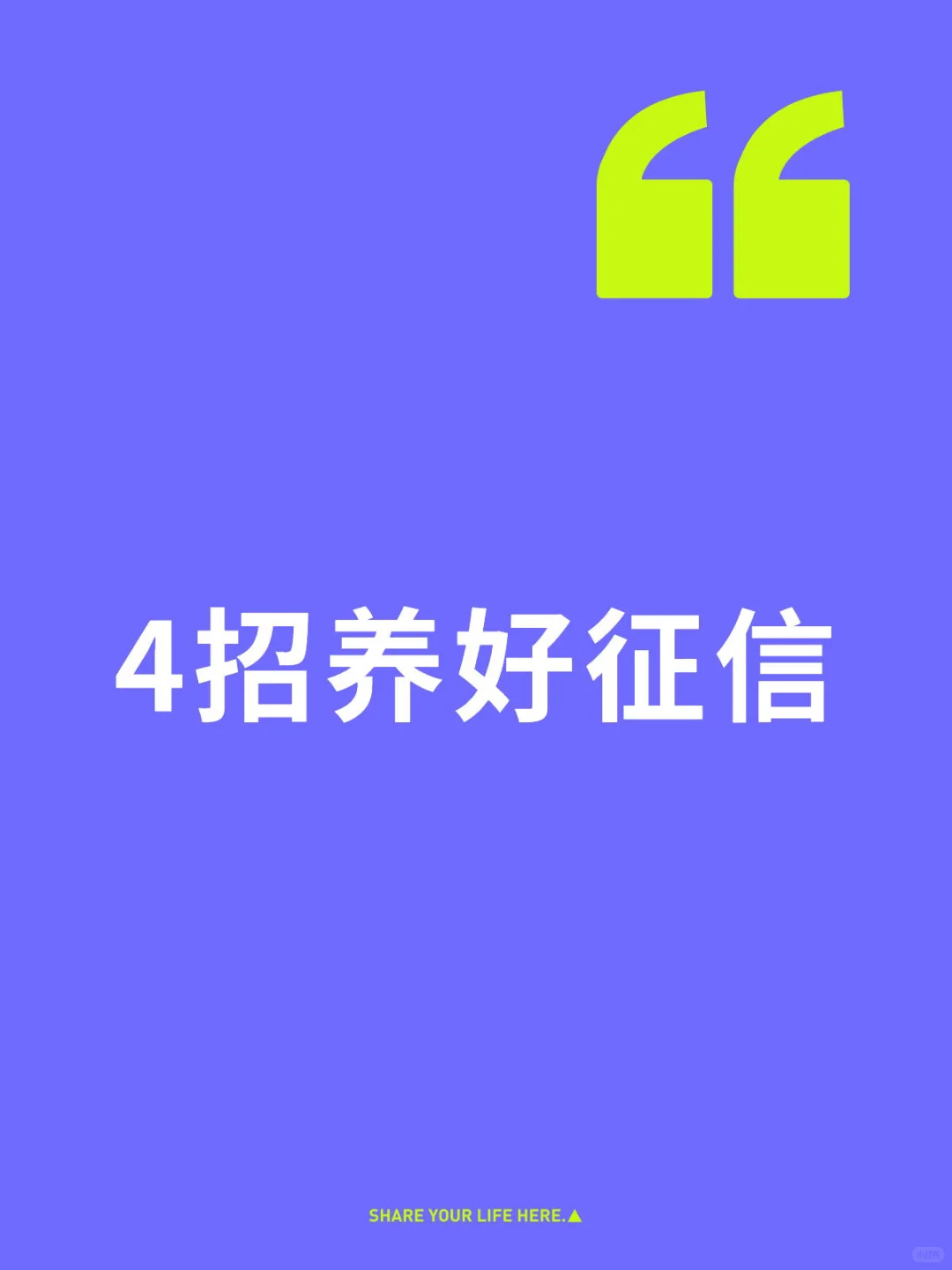 《4招养好征信，助力个人与企业融资》 征信对