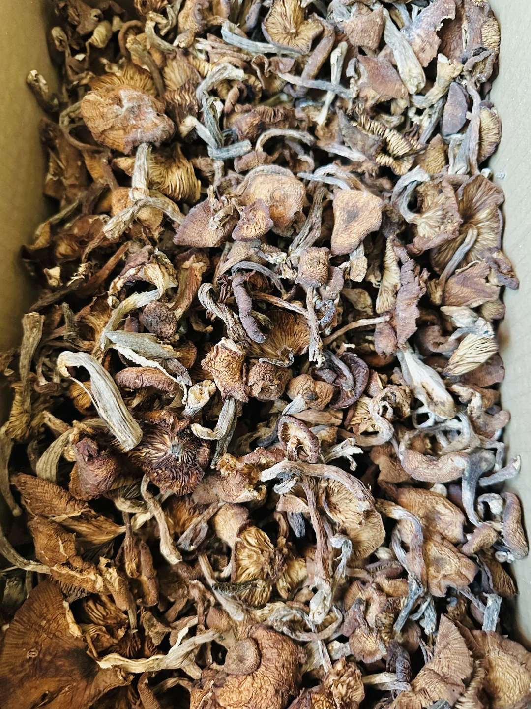 东北婆婆家的绿色食品