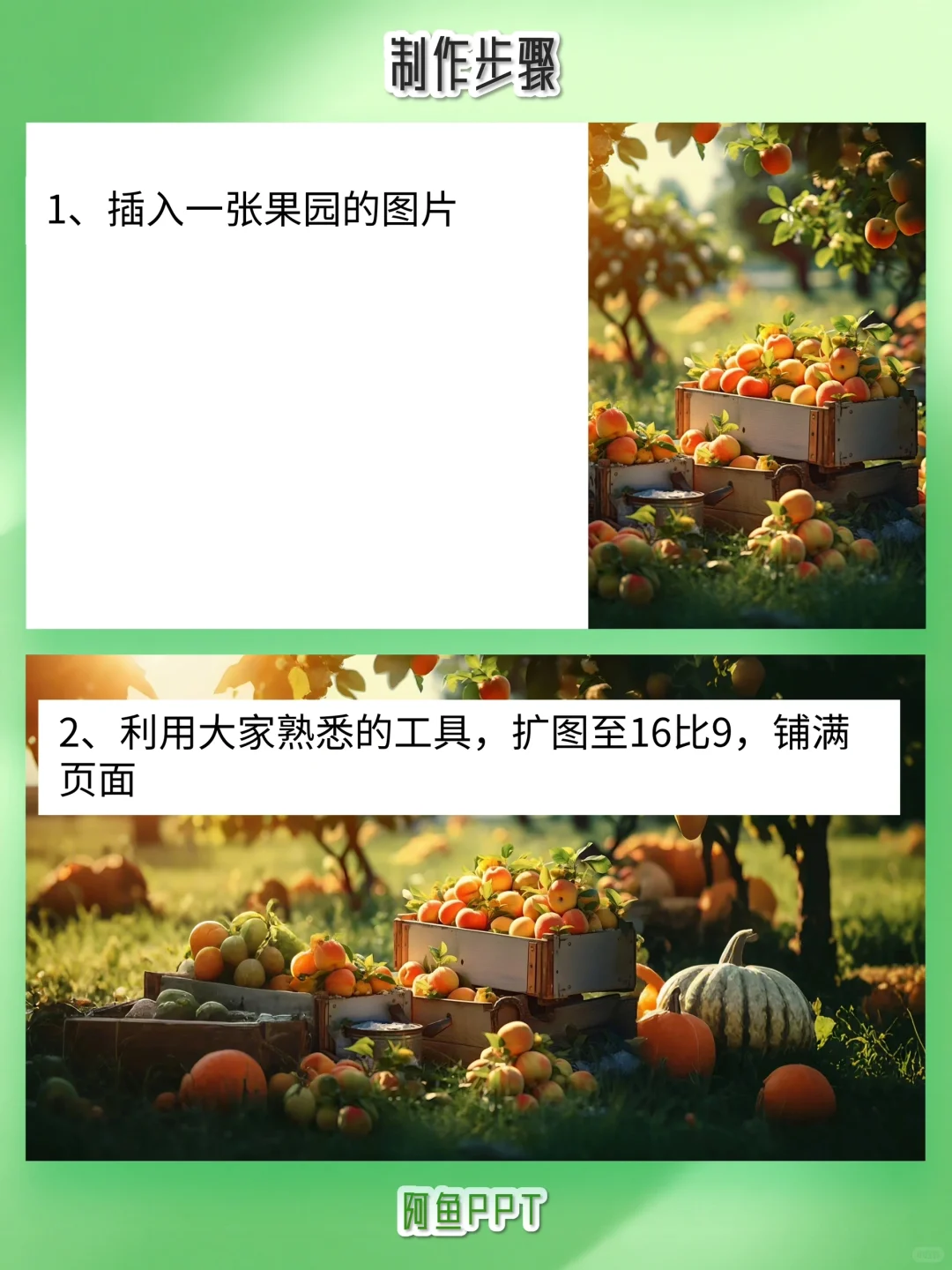 挑战杯科技助农乡村振兴PPT，手把手教会你