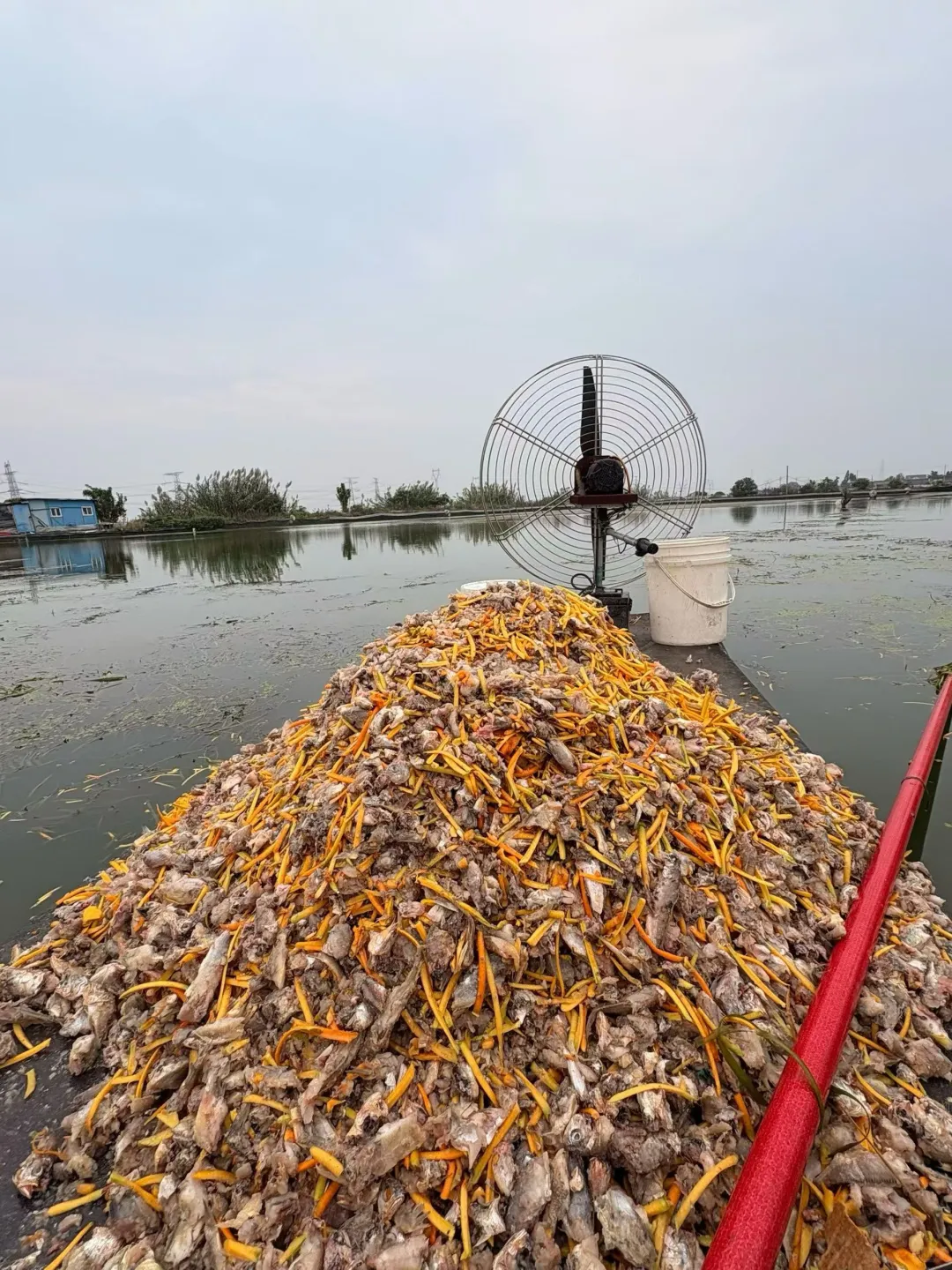 周末搬螃蟹好去处?️