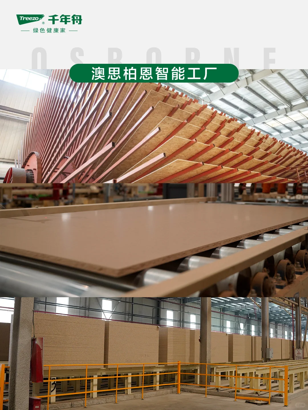 千年舟智能工厂揭秘|422品牌日见证好板诞生