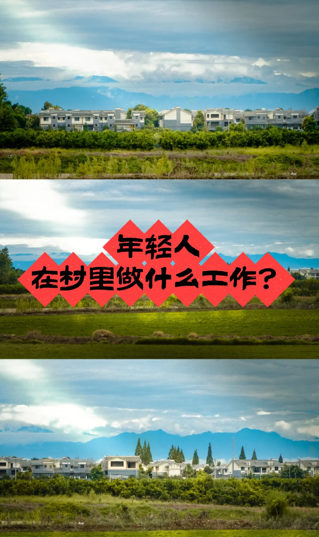 盘点 ！年轻人都在村里做什么工作？