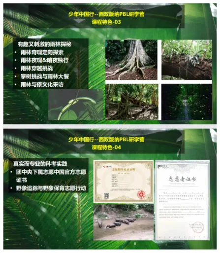 赋能少年，西双版纳雨林探索首发团来啦！