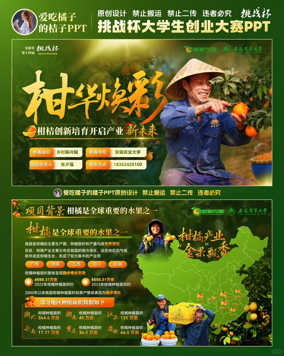 挑战杯柑橘助农乡村振兴PPT设计 助农PPT