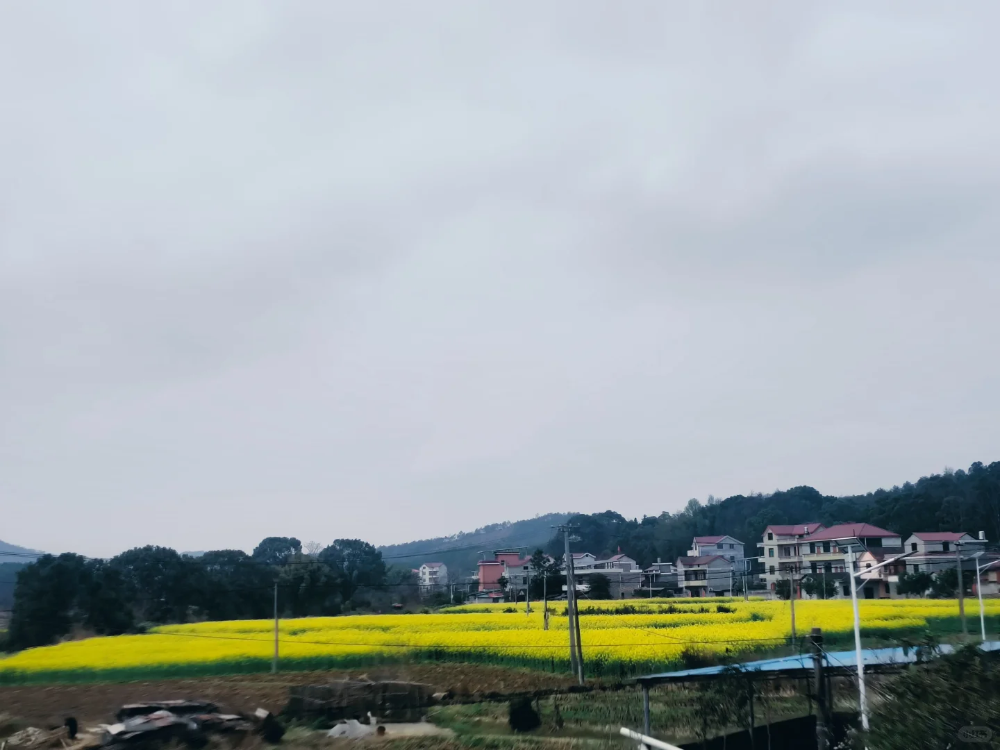 农村的下一个风口已至,你准备好了吗?