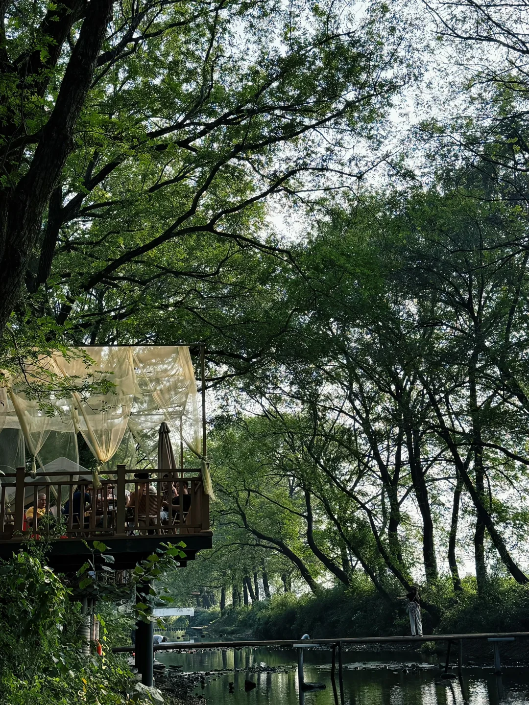 芜湖周边，农村咖啡，超出片