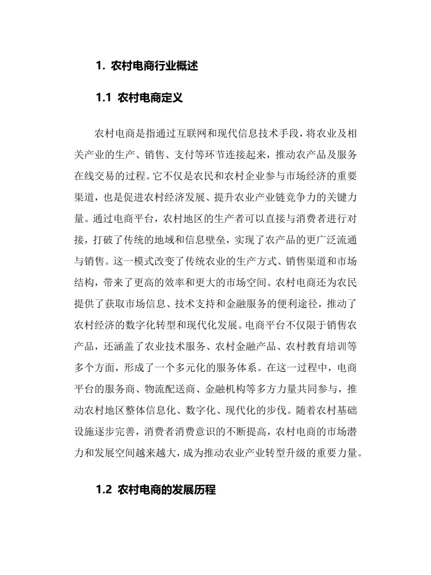 2025年农村电商行业调研分析报告