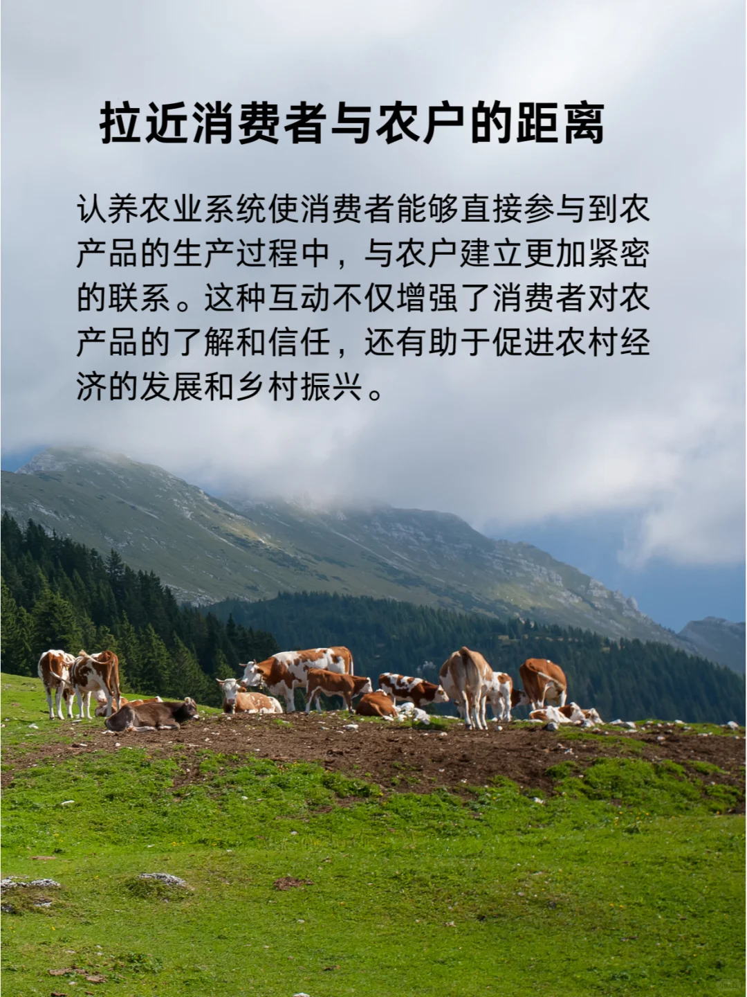 区区认养农业，拿下！?