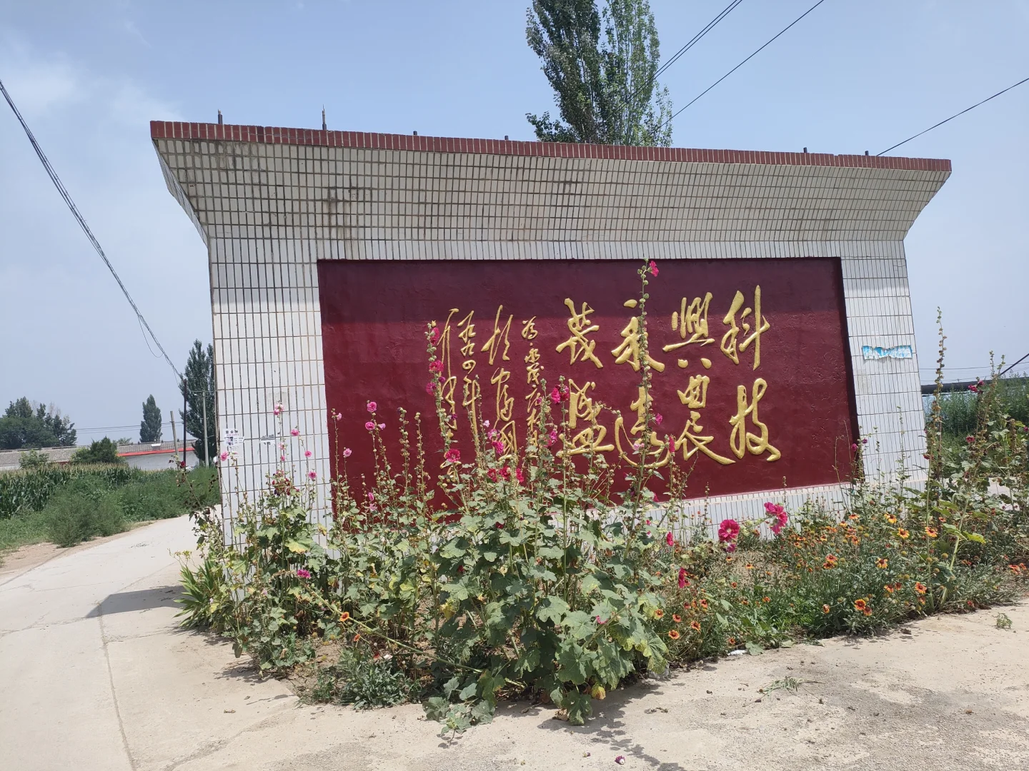 大学生暑期社会实践——桑梓农情，生态先行