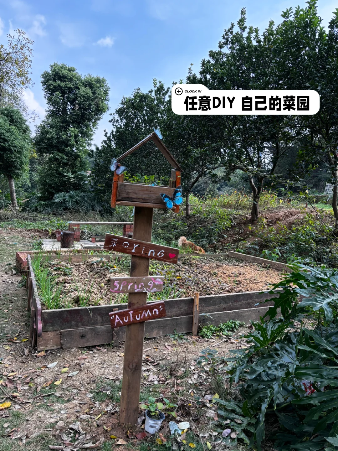 下一个风口就是私域➕共享菜园！