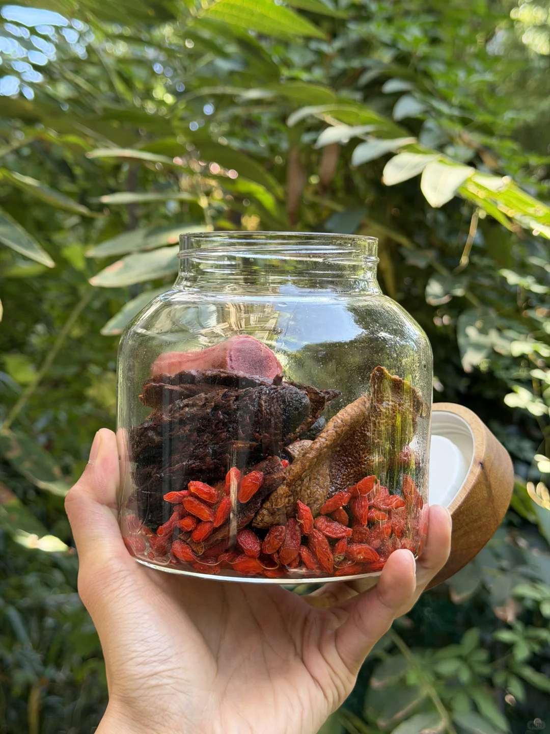 入冬仪式感，为自己泡一坛“三阳暖身酒”