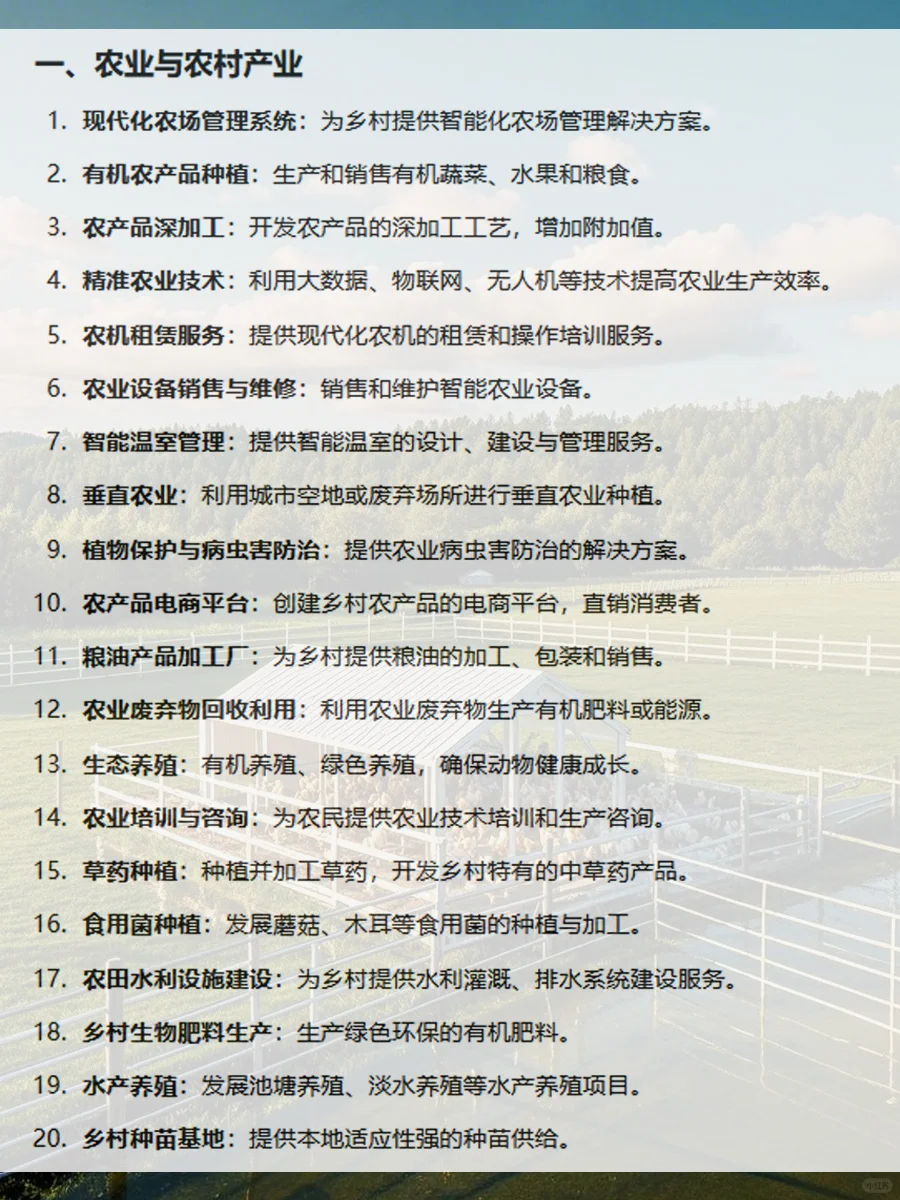 乡村振兴大有可为！100个创业机会等你探索