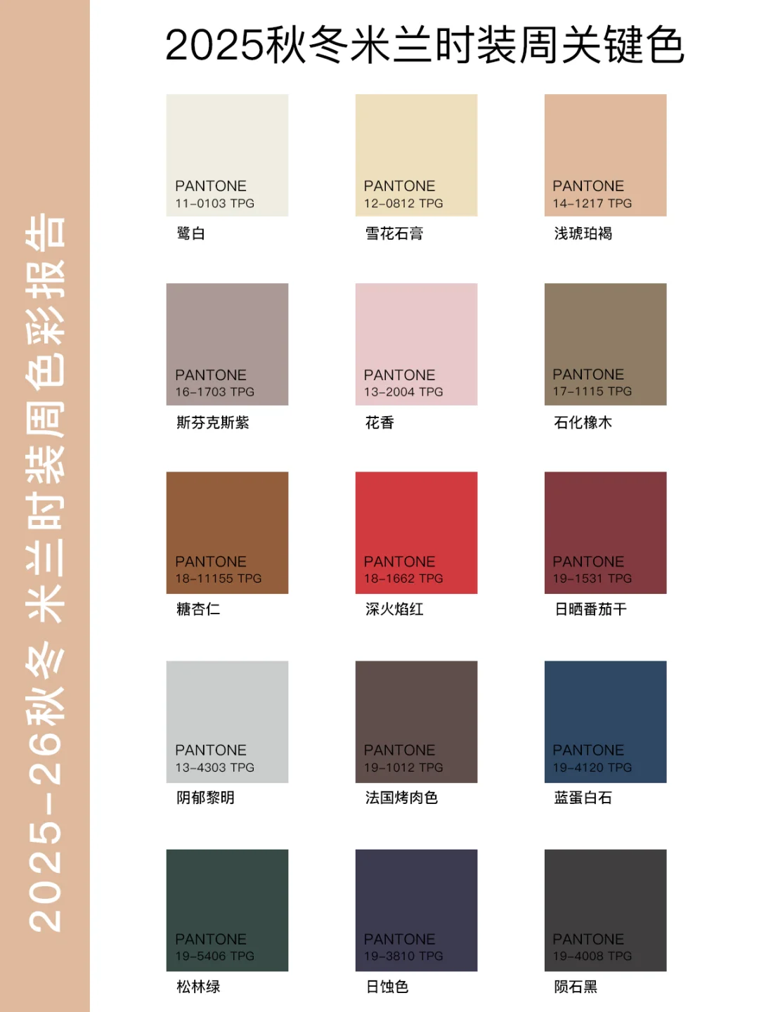 2025秋冬米兰时装周色彩报告6⃣组灵感配色