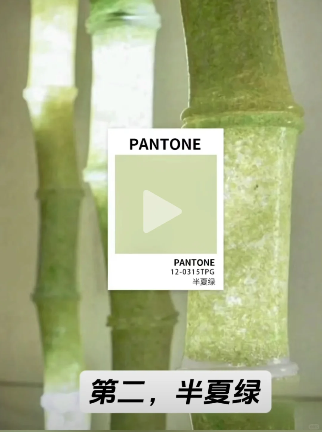 2025年春夏流行色