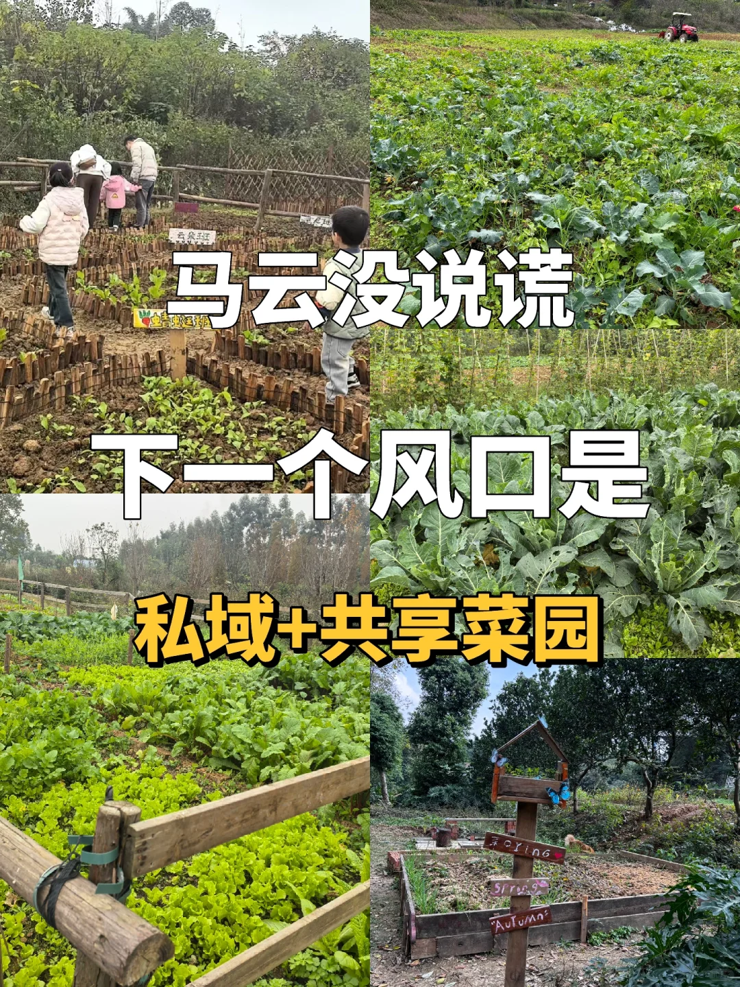 下一个风口就是私域➕共享菜园！