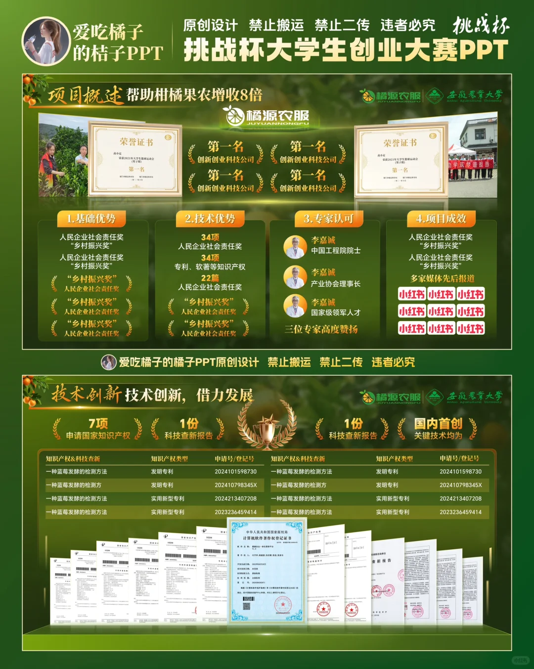 挑战杯柑橘助农乡村振兴PPT设计 助农PPT