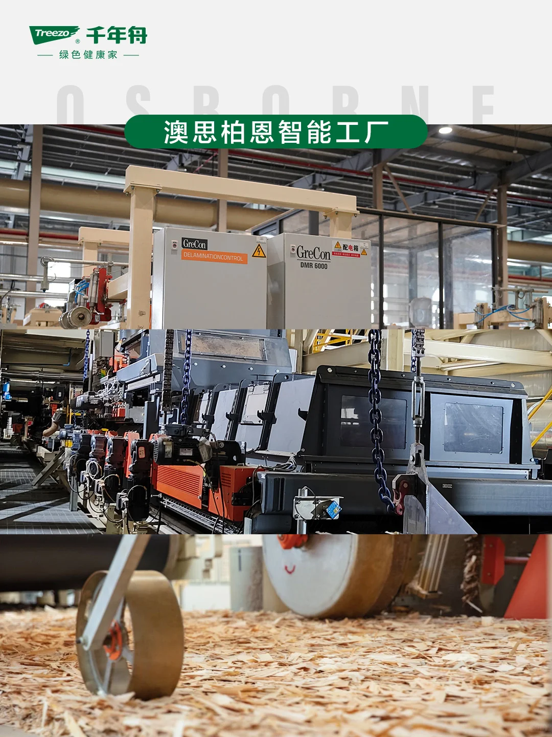 千年舟智能工厂揭秘|422品牌日见证好板诞生