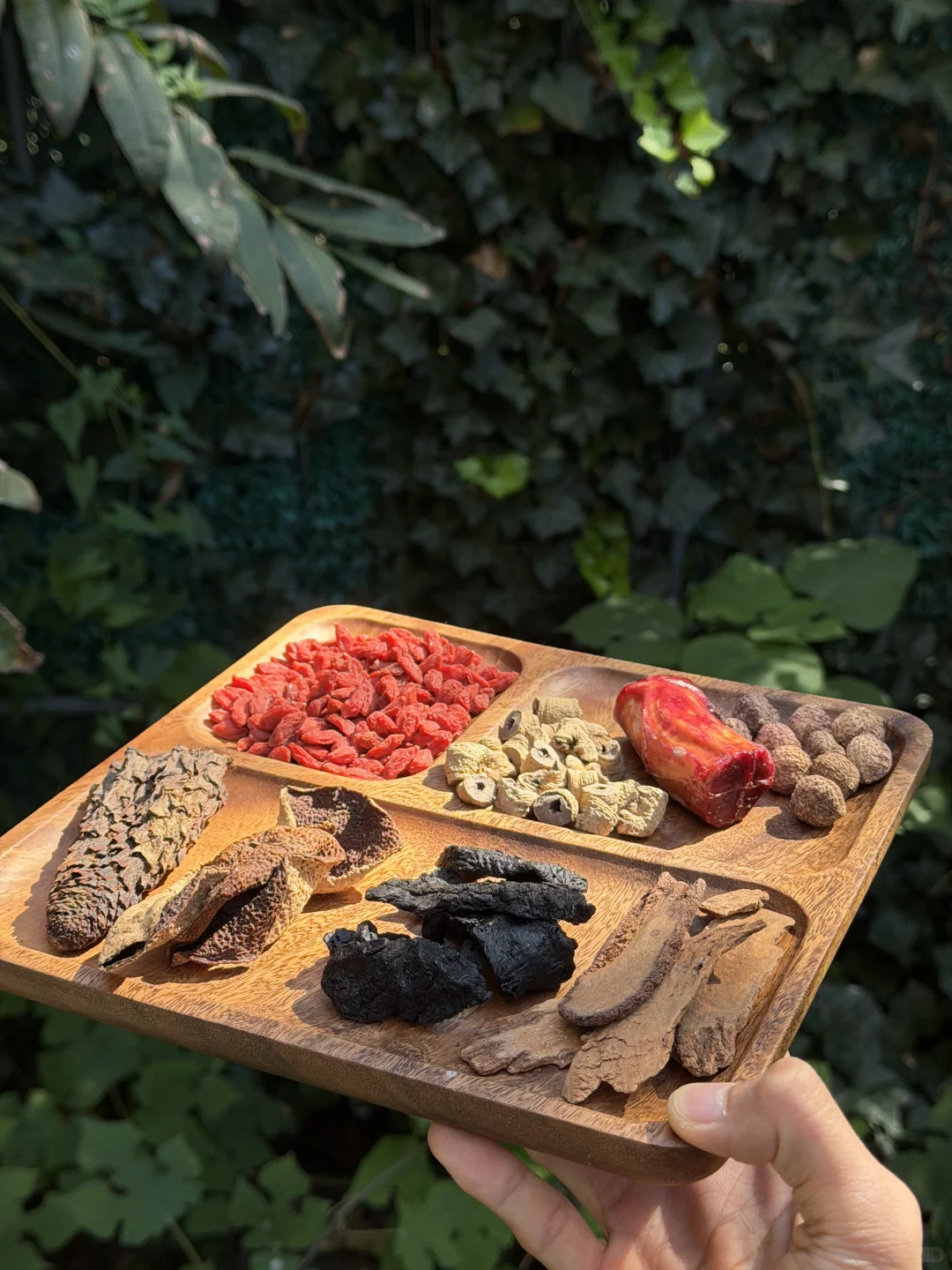 入冬仪式感，为自己泡一坛“三阳暖身酒”