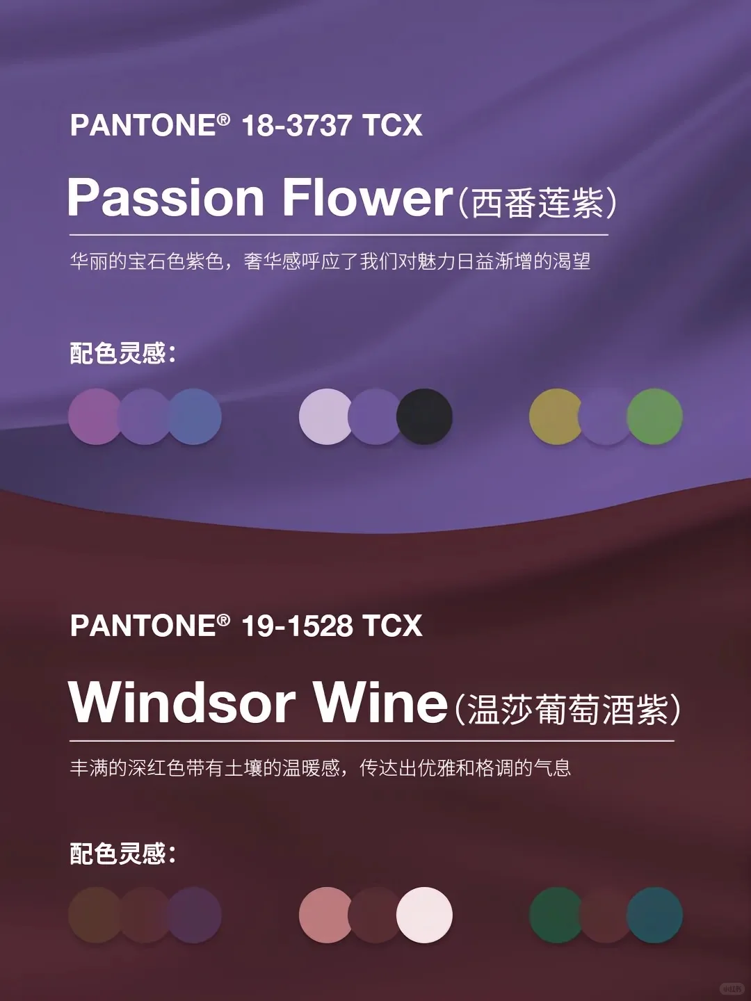 潘通2025时尚色前瞻