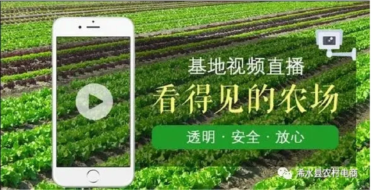 农业农村部发文促乡村产业发展