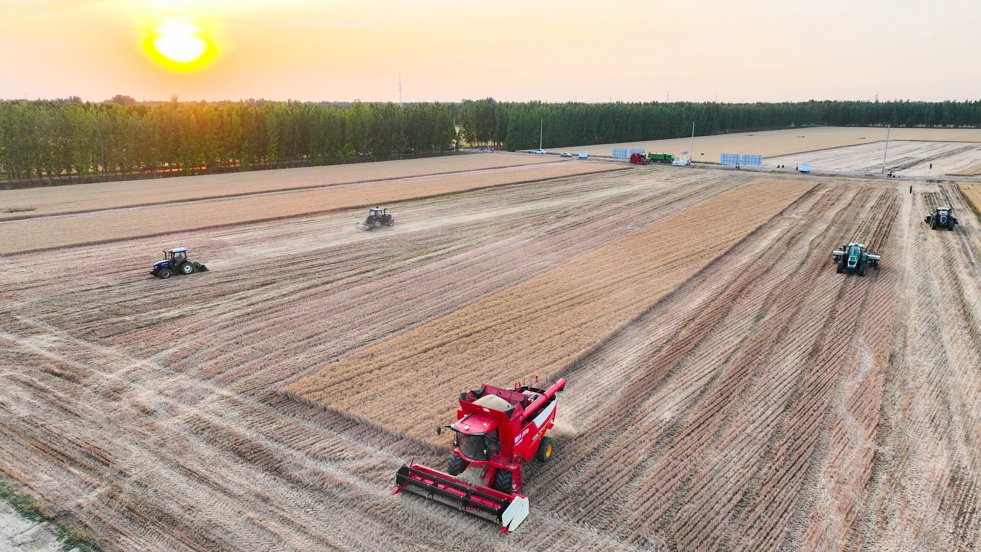 三夏实践中的潍柴雷沃“智慧跃升”