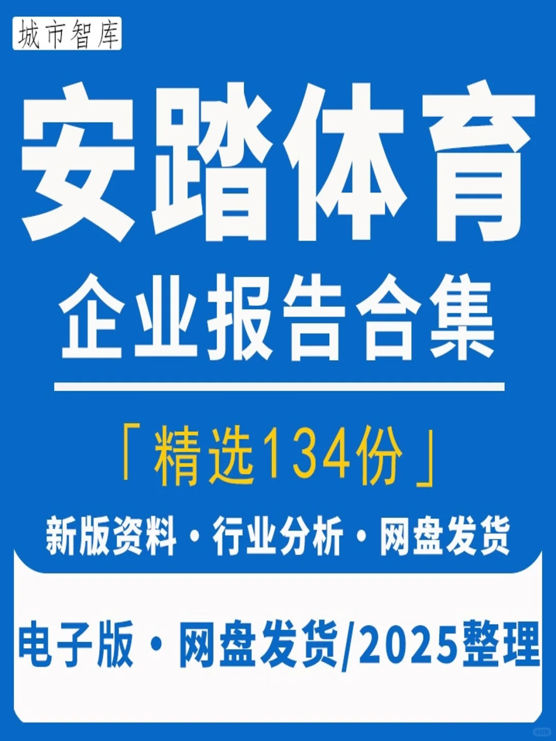 【2025年安踏体育深度解析】揭秘运动鞋