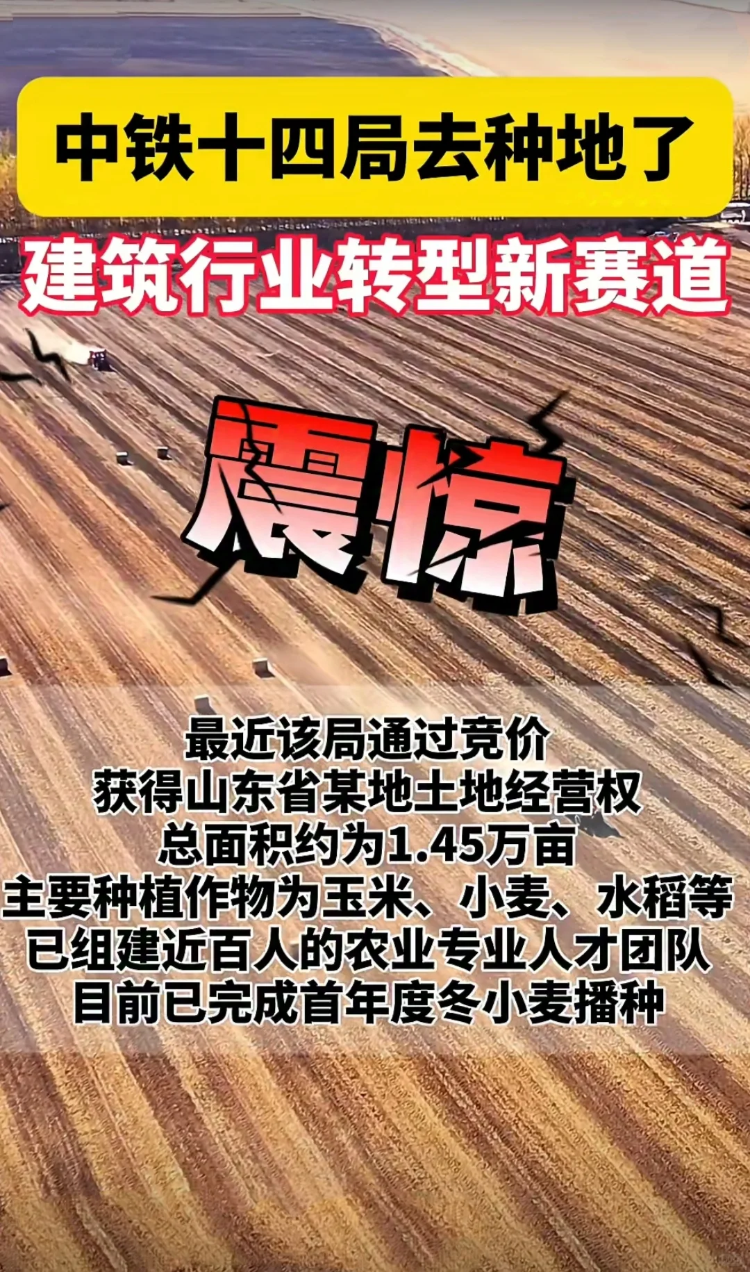 离谱，央企带头种地了