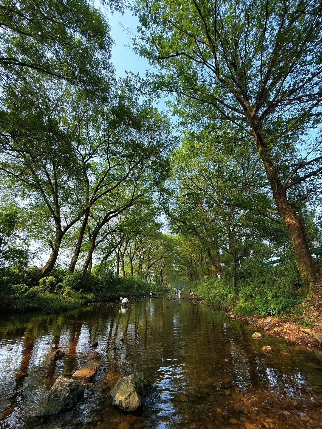 芜湖周边，农村咖啡，超出片