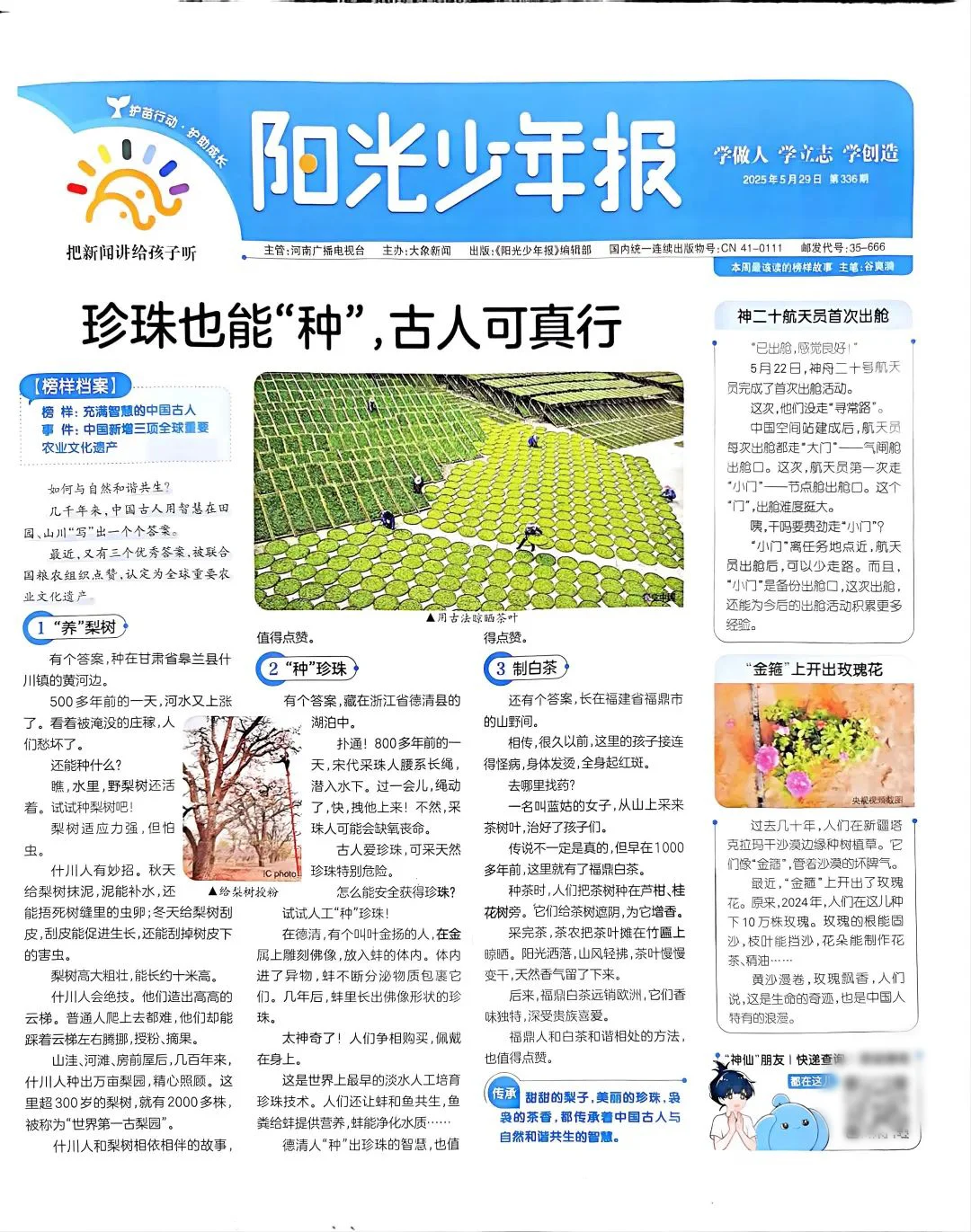 从《生万物》看中国农耕，发展智慧农业！