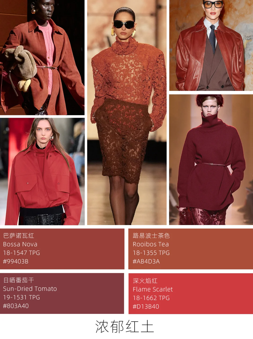 25秋冬色彩趋势