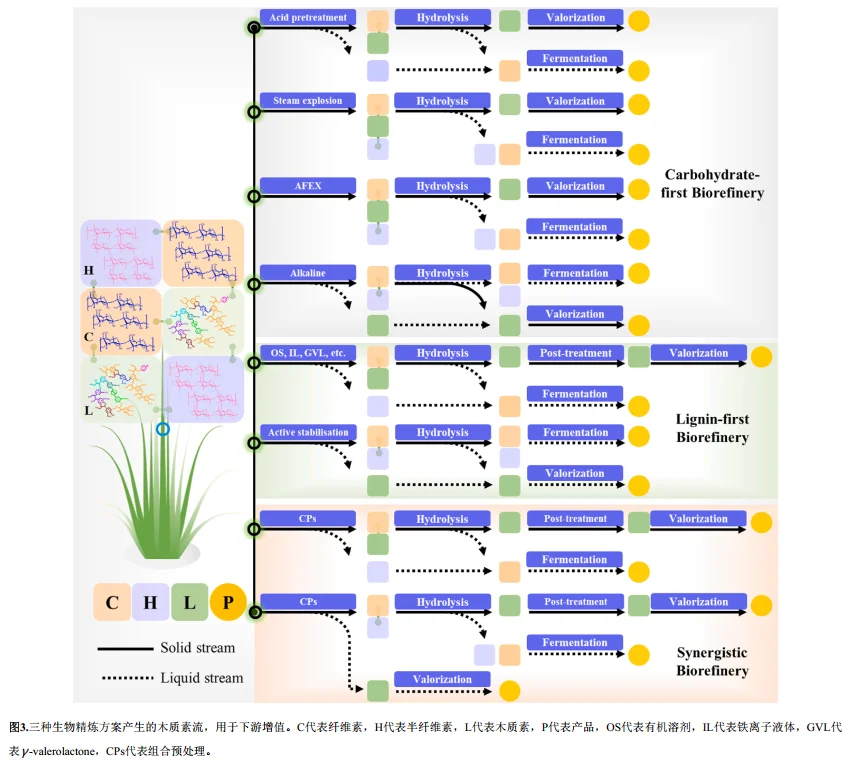 ?植物里藏着“环保黄金”？天大新研究