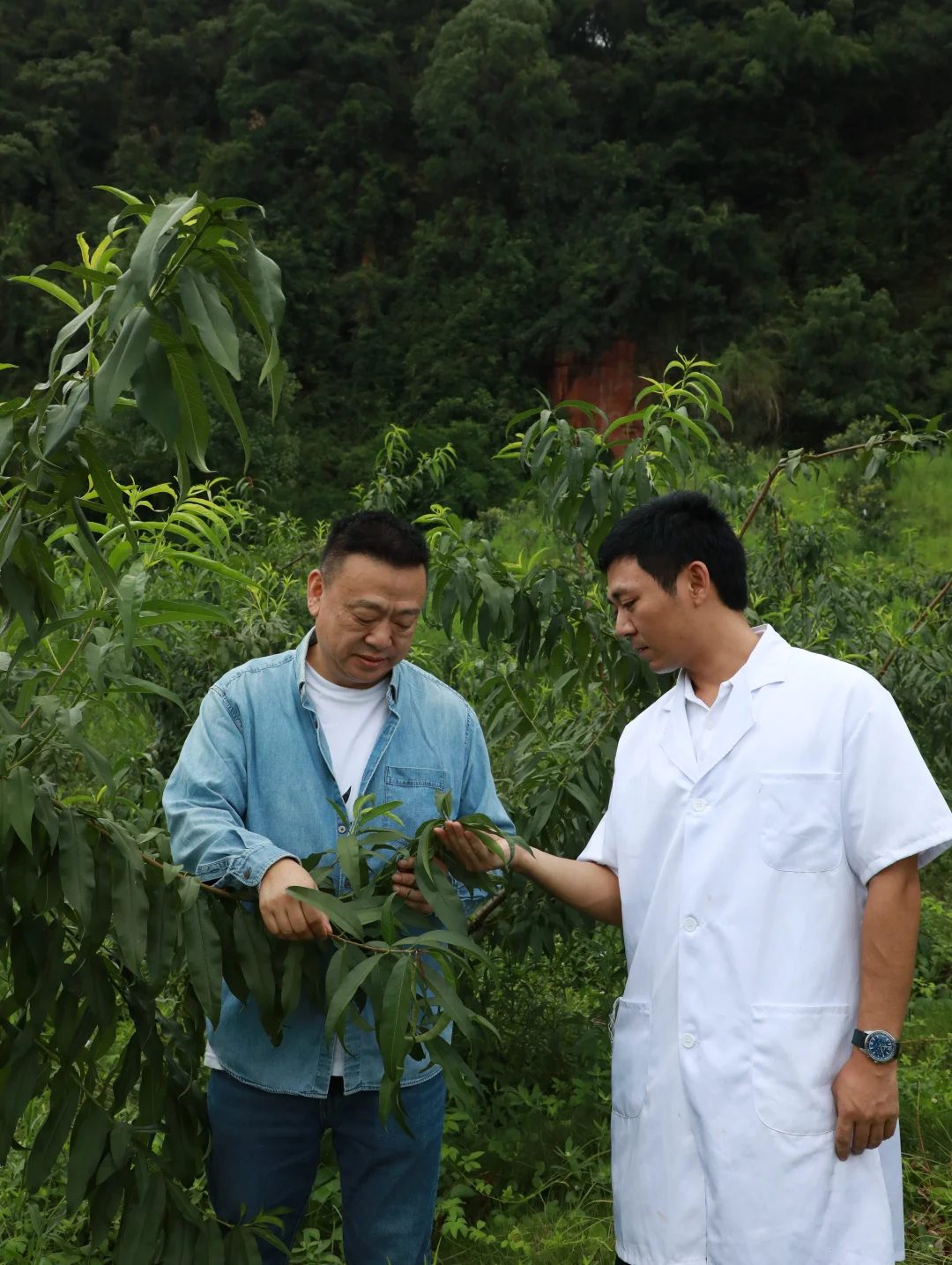 手握国家级品酒师证的“白酒科学家”?