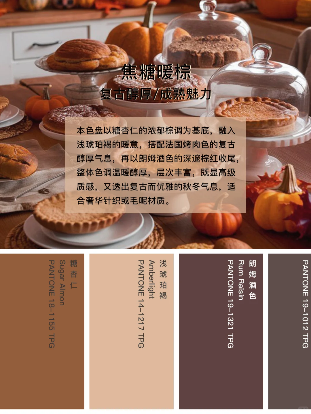 2025秋冬米兰时装周色彩报告6⃣组灵感配色