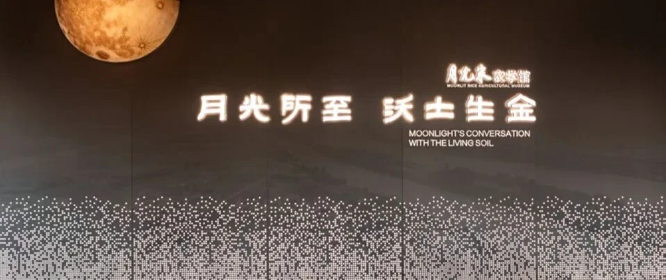 席位稀缺，限量招募！