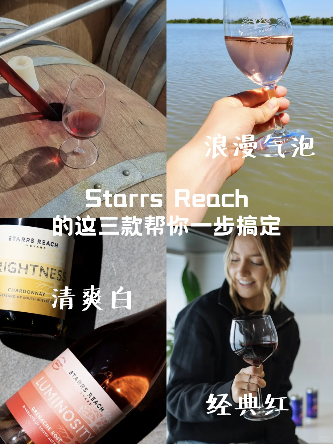 红酒新手也能选对款?