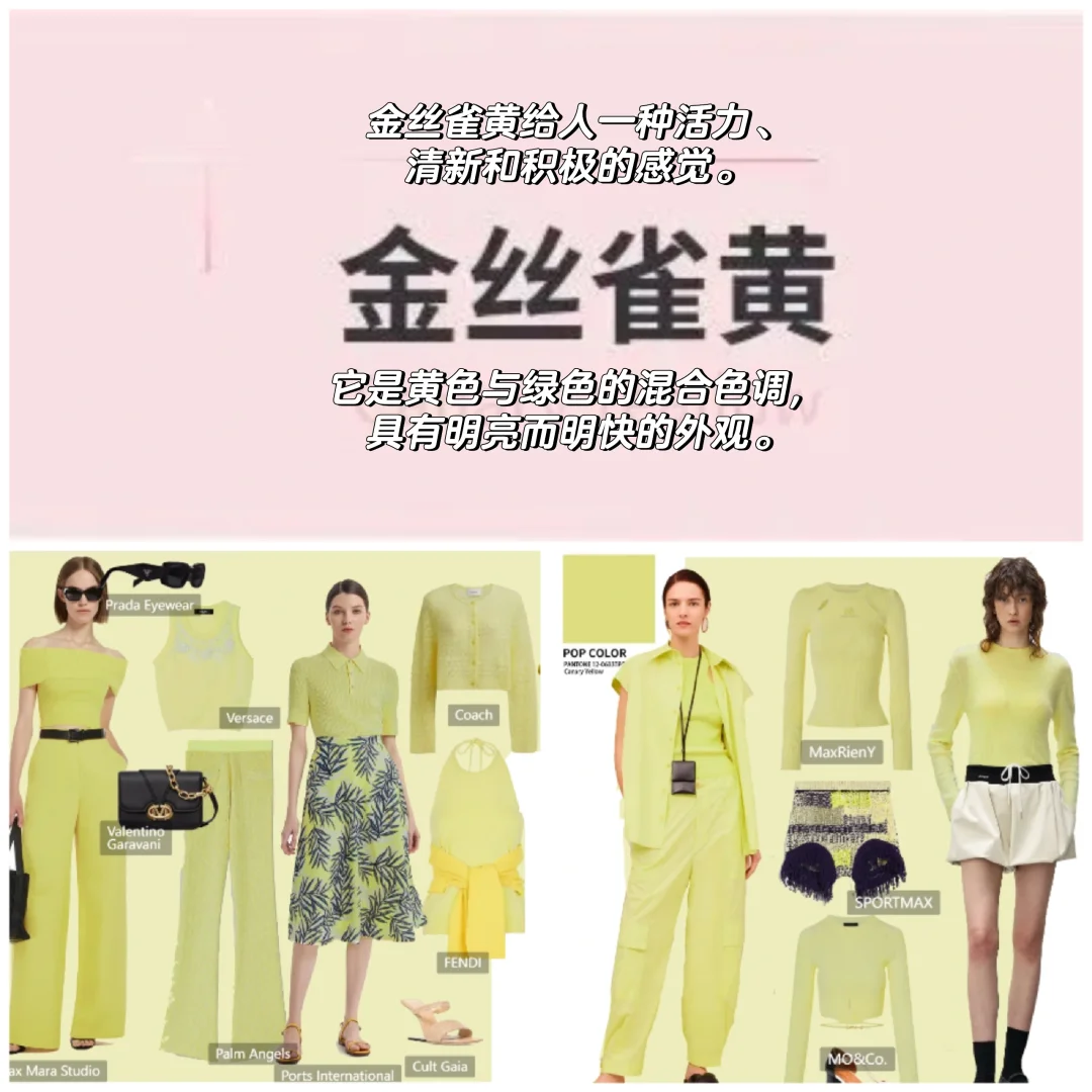 时尚的搬运工—2025女装流行色