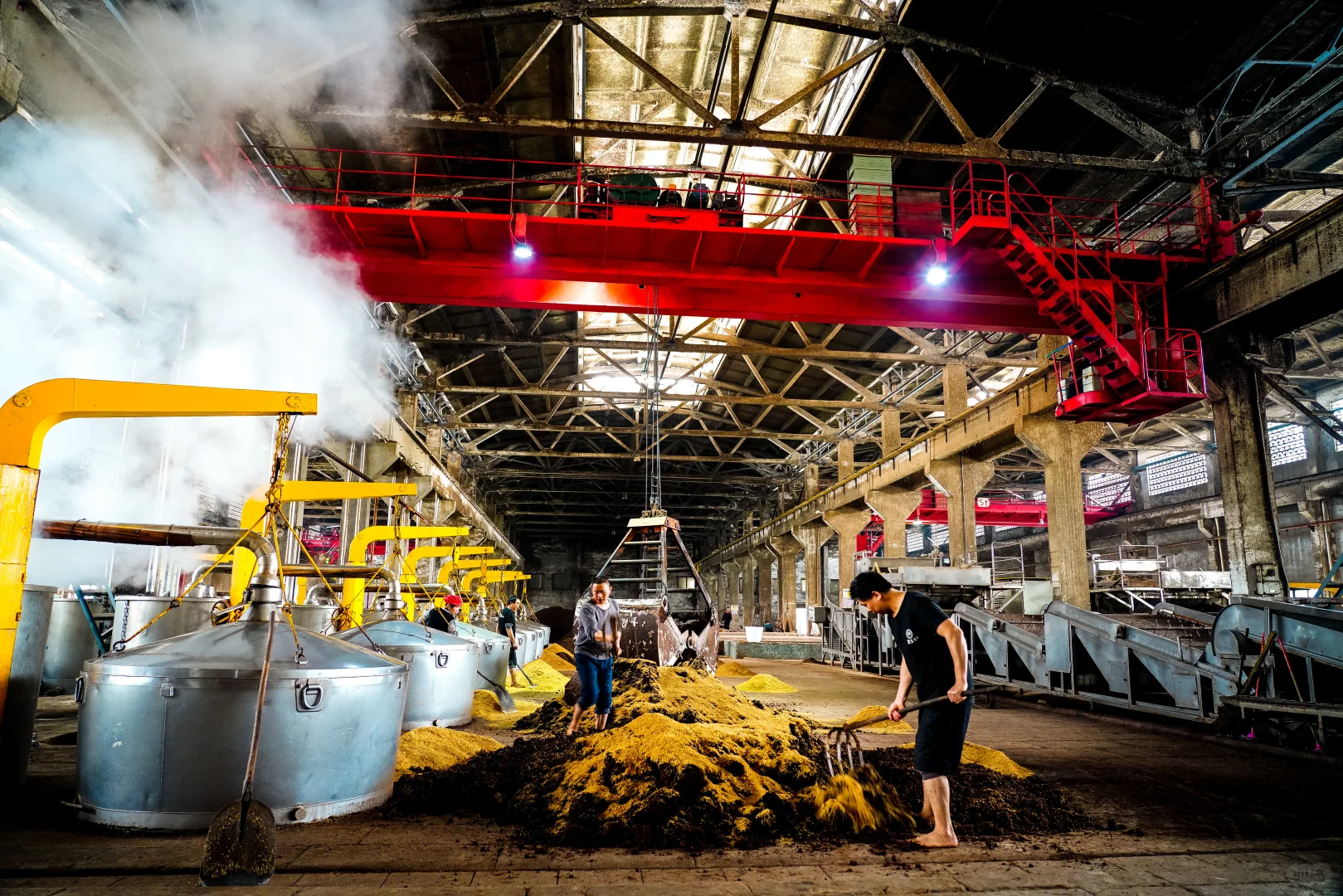 除了五粮液,宜宾还有什么酒值得你做?