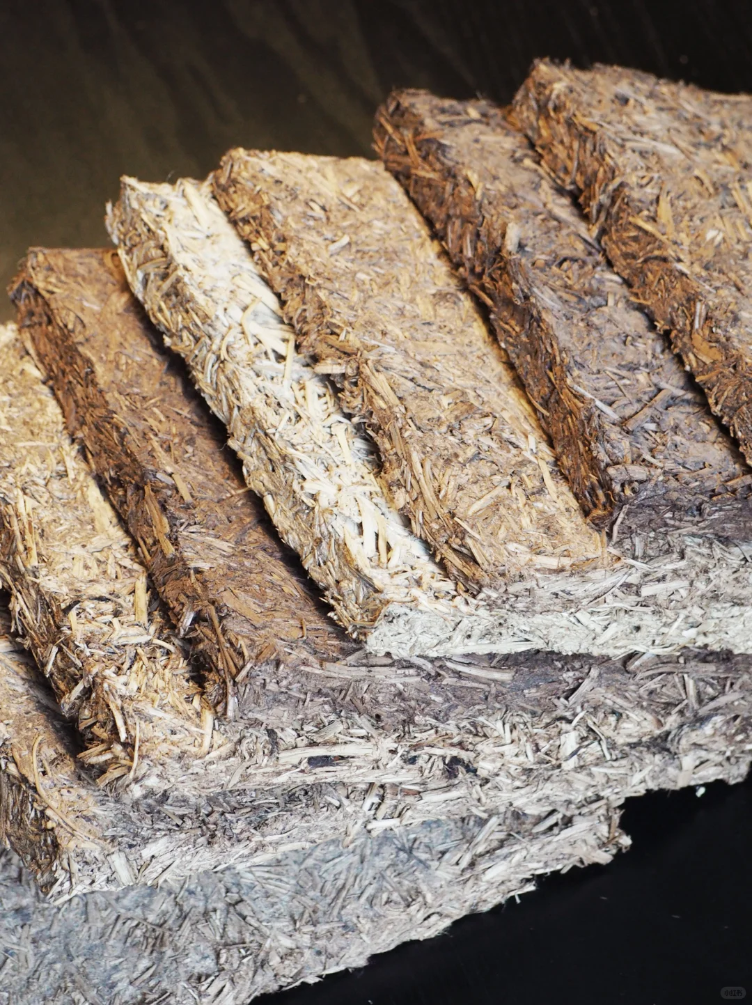 啤酒花藤蔓：源于土地，归于土地