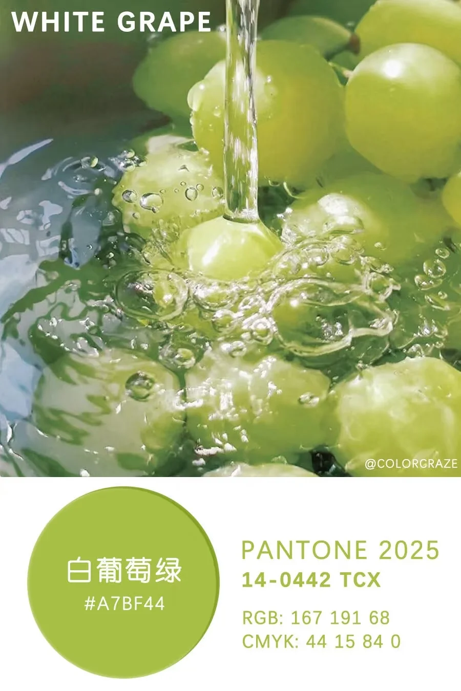 2025年纽约时装周十大春夏流行色