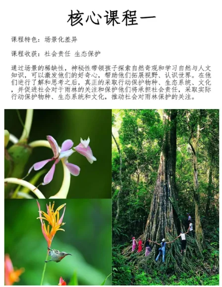 赋能少年，西双版纳雨林探索首发团来啦！