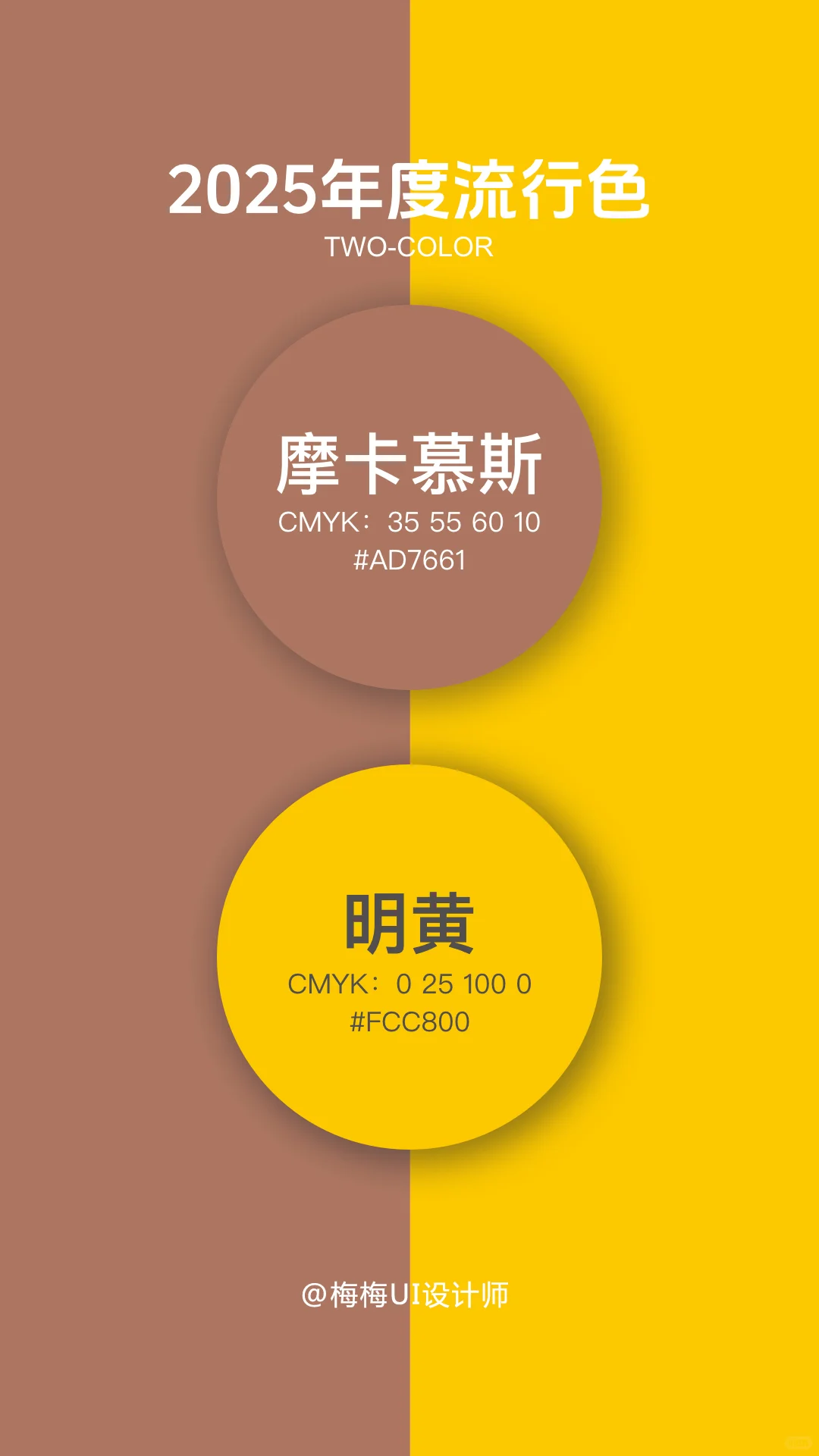 2025年度流行色-摩卡慕斯