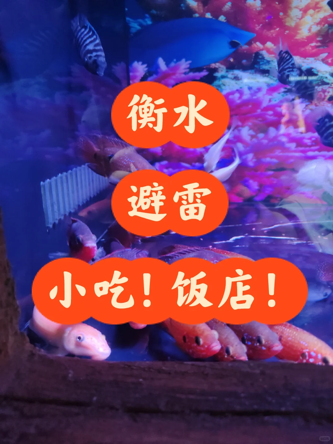 避雷衡水某些小吃饭店！