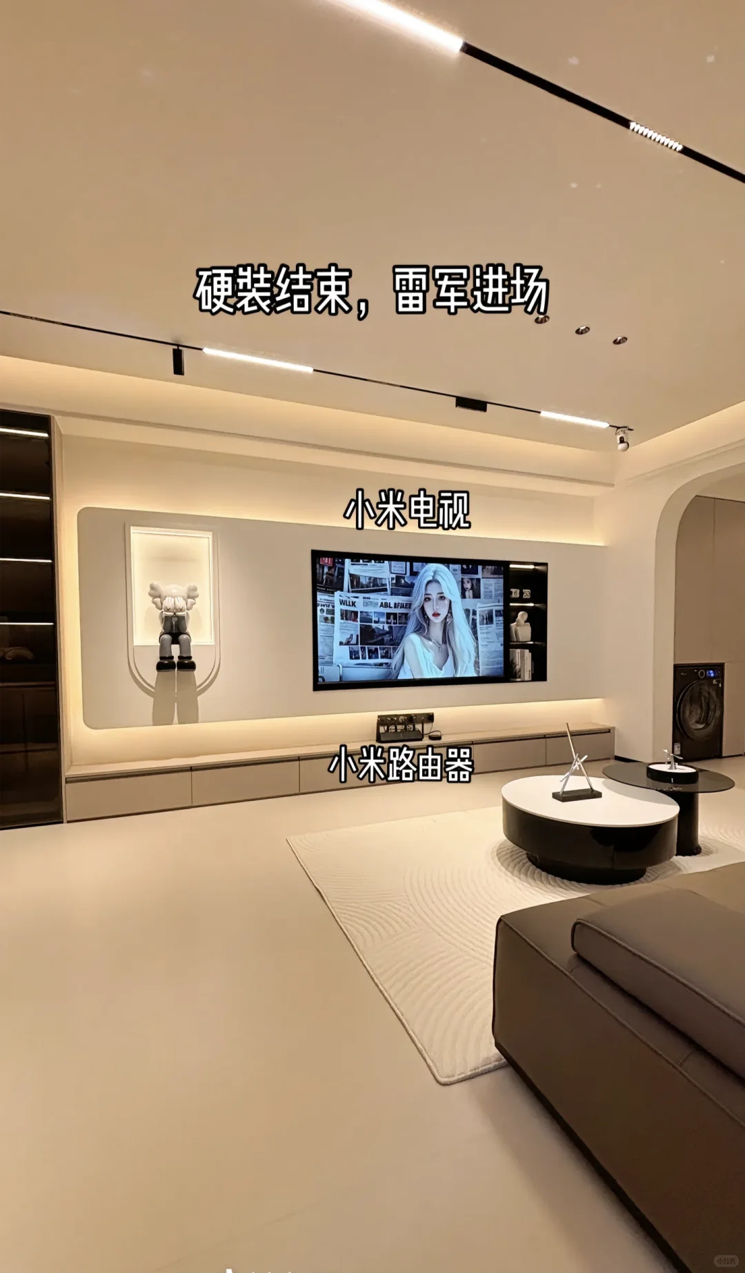 雷军进场！