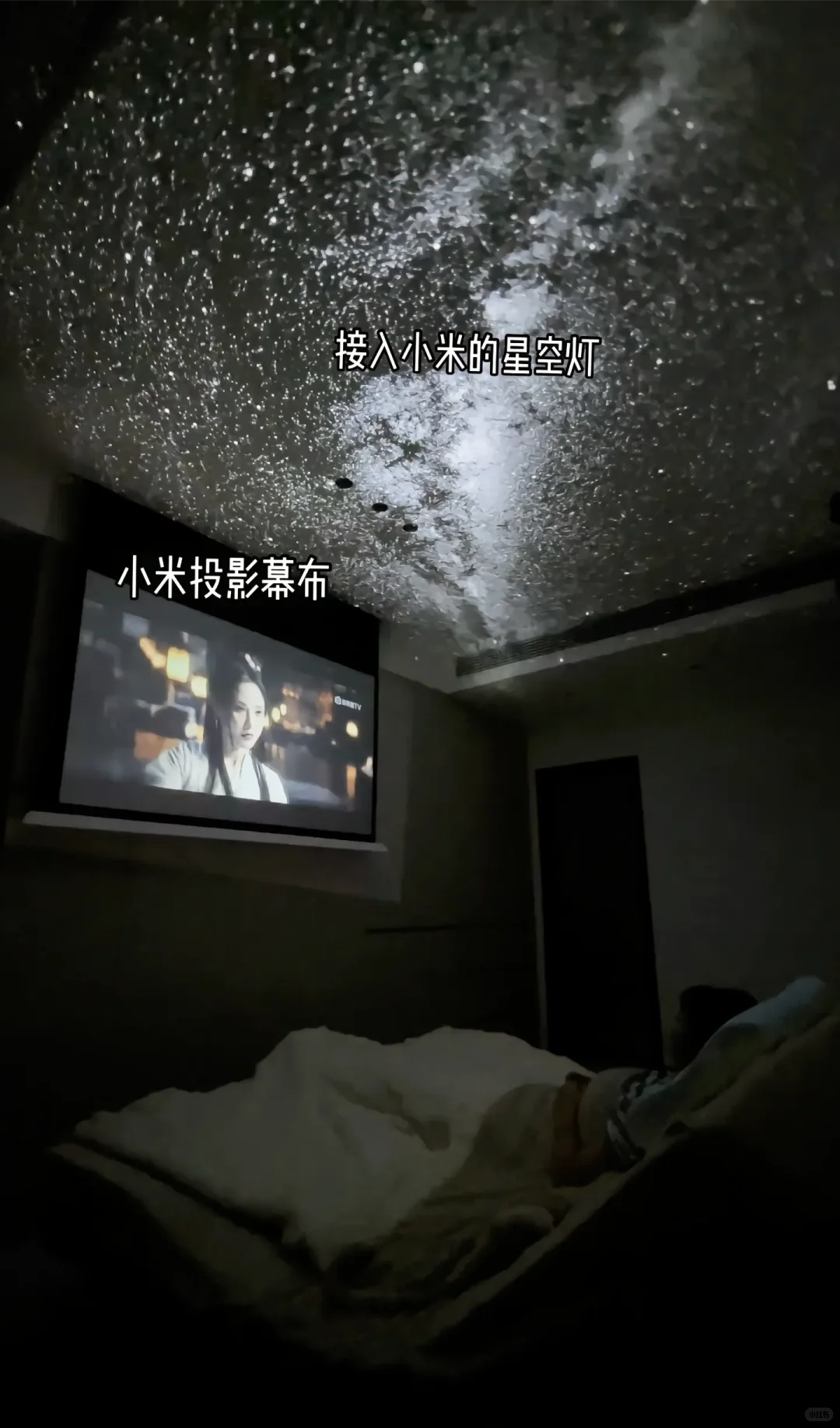 雷军进场！
