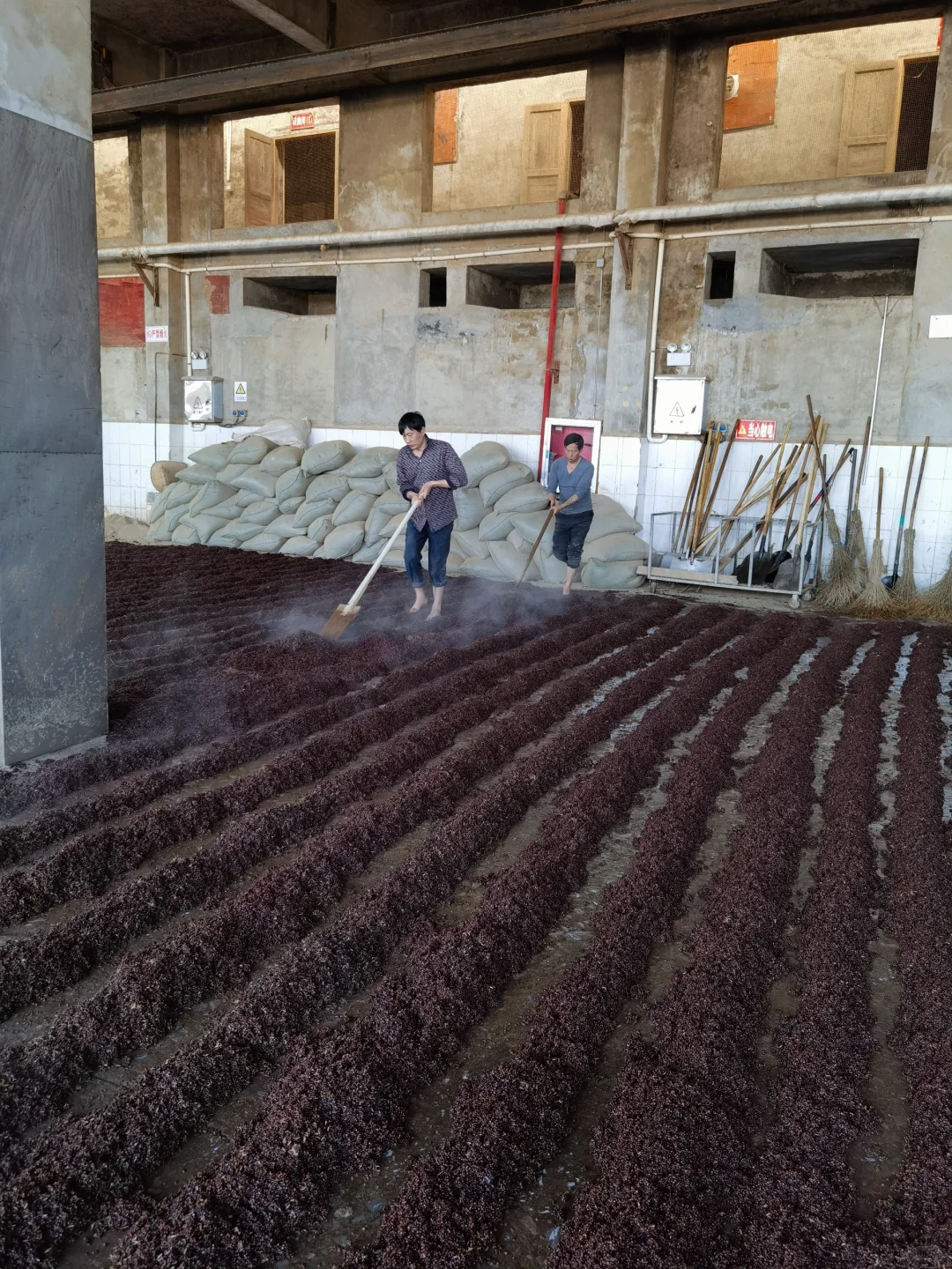 酱酒之肉—红樱子糯高粱