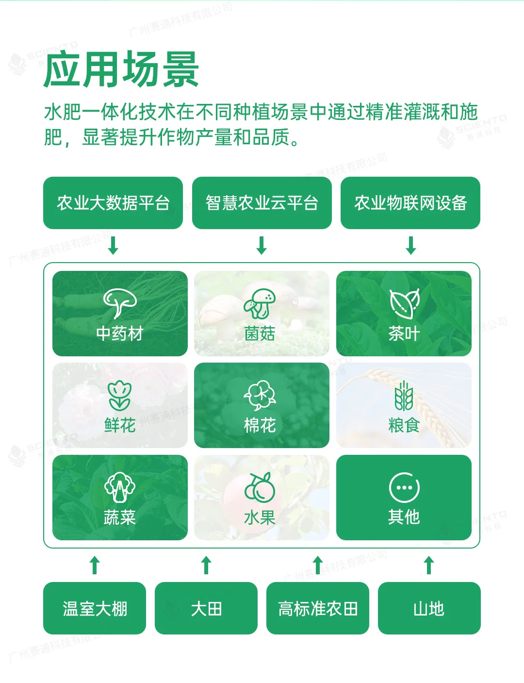 赛通科技 | 智慧农业水肥一体化解决方案