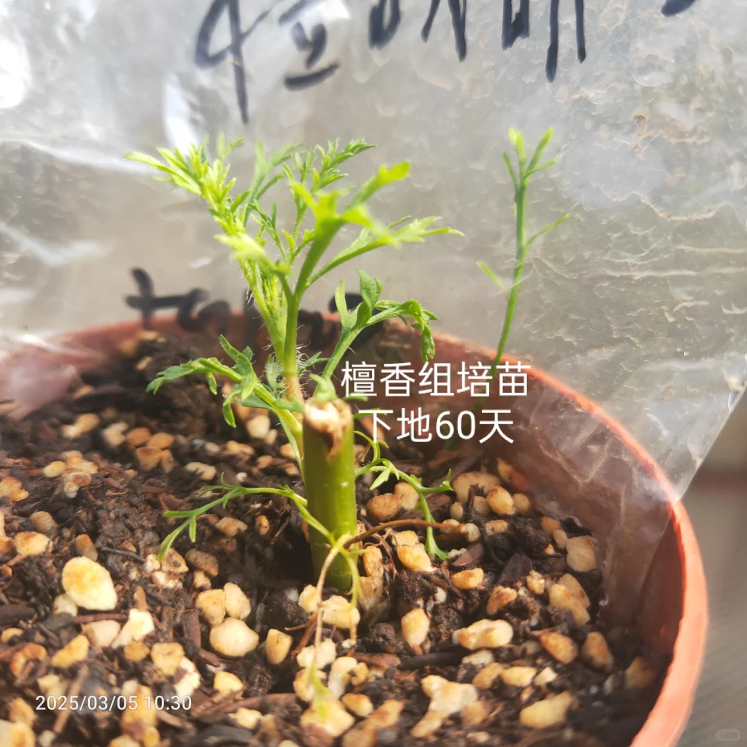 做农业怎样才能挣到钱？轻松挣大钱？