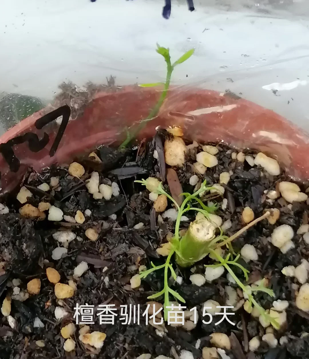 做农业怎样才能挣到钱？轻松挣大钱？