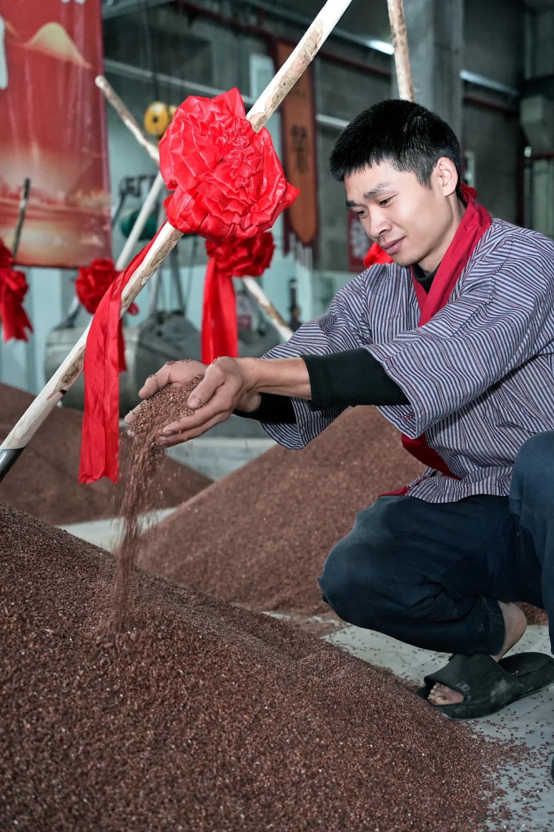 为什么茅台镇酱酒原料要用红缨子糯高粱？