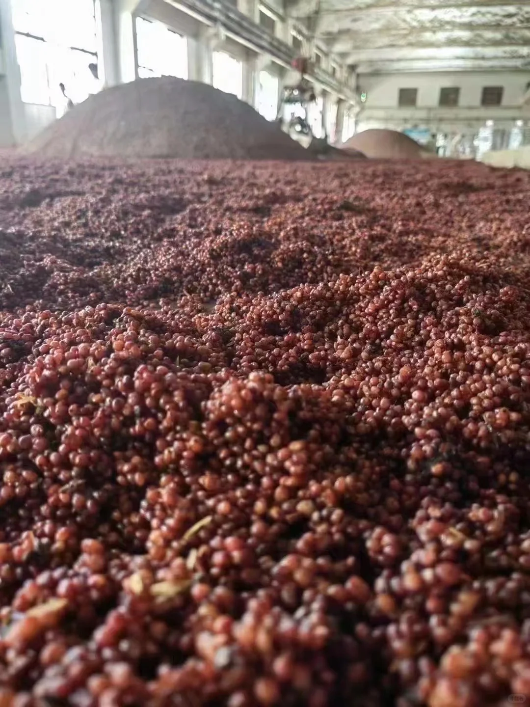 原料：高粱小麦水